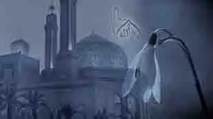 الله جل جلاله