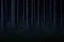  4-无神论及其伤害： 